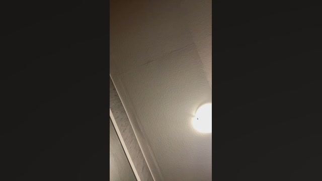 BigRainbowCock  31-08-2022